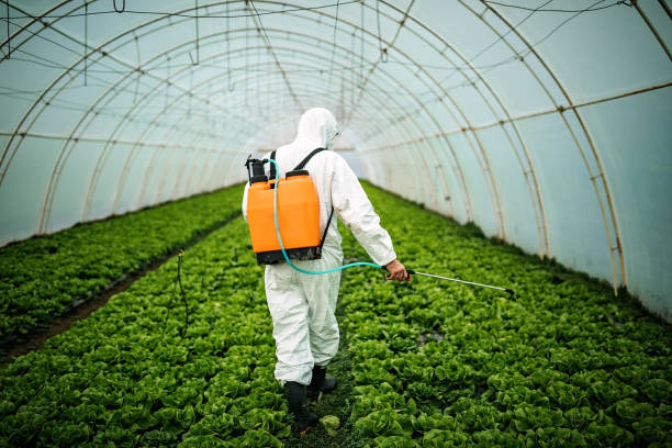 Best Residential Pest Control  in Monroe North, WA