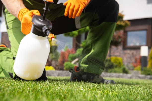 Best Local Pest Control Services  in Monroe North, WA
