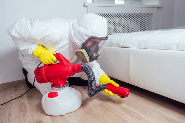 Best Pest Control Near Me in Monroe North, WA