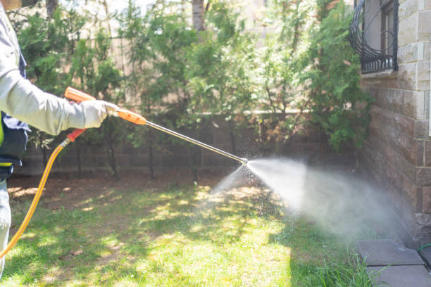 Best Pest Control Near Me  in Monroe North, WA