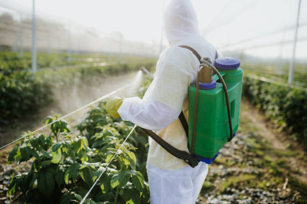 Best Bed Bug Extermination  in Monroe North, WA